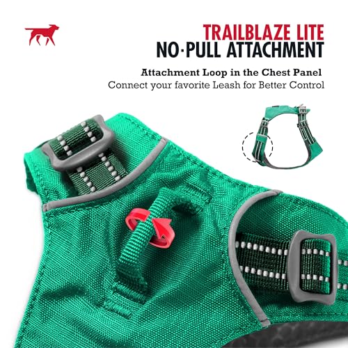 Tuff Pupper All-Day Wear Dog Harness | for Walking, Trail Running, Hiking | Front & Back Leash Clips | Reflective Trim | Easy On/Off Buckles | Lightweight Breathable | No Pull Design (XXXS, Teal) - color: Tropical Teal, size: XXX-Small