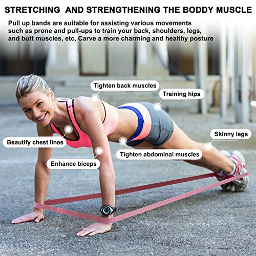 Resistance Bands with Handles,Pull Up Bands Fabric Long Resistance Bands Set of 10 Long Workout Bands with Door Anchor, Handles, Exercise Bands for Working Out, Weight Training