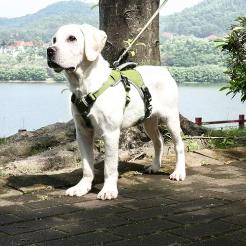 Escape Proof Dog Harness, No Escape No Pull Reflective Dog Harness with Durable Handle, Adjustable Heavy Duty Vest for Small Medium Large Dogs, Walking and Training (Green,XL) - color: Green, size: XL (Pack of 1)