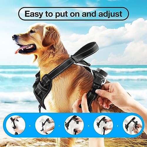 MASBRILL Light Up Dog Harness - No Pull Led Dog Harness Rechargeable Adjustable Lighted Dog Vest Harness for Small Medium Large Dogs - color: Black-Blue, size: S