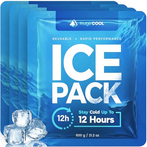 Ice Packs for Cooler, Reusable Ice Packs for Lunch Boxes, 4 Pack Long Lasting Freezer Packs, Leakproof Cooler Ice Packs for Lunch Bags and Coolers, BPA-Free, Food Safe - size: 4-Pack / 600g Each