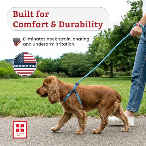 Harness Lead No Pull Dog Harness and Leash Set, Anti Pull Dog Harness, One-Piece Cushioned Rope Safely Prevents Escaping and Pulling (Medium/Large, Peacock/Blue/Lime) - color: Peacock (Blue/Lime)