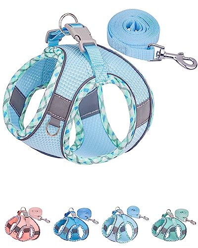 Petank Step in Dog Harness No Pull and Leash for Small Medium Dogs Cats. - color: Light Blue, size: XXS