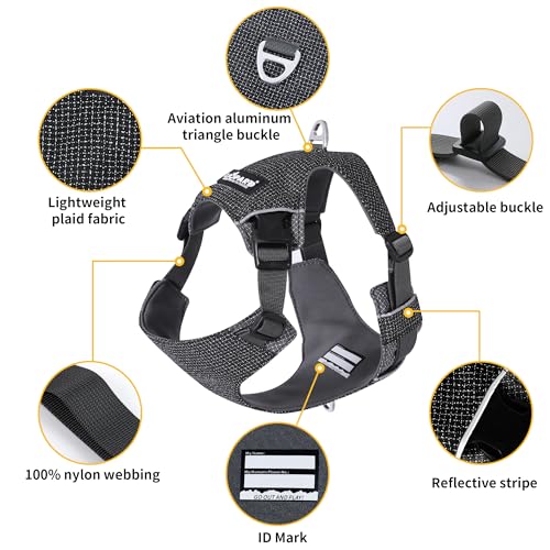 LIOPARD Dog Harness, Easy Walk Pet Harness No Pull with 2 Leash Clips, Reflective Running Soft Padded Adjustable Puppy Vest, Heavy Duty Seatbelt Harness for Car for Small Dogs (red, S)
