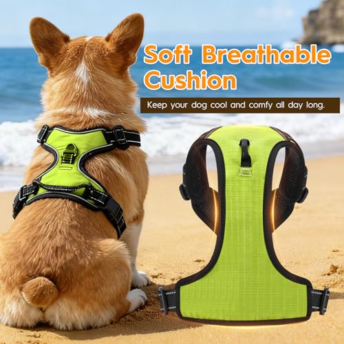 No Pull Dog Harness, No-Choke Soft Padded Reflective Dog Vest Harness with Front Clip & Top Handle, 2 Quick-Release Buckles, Adjustable for Small Medium Large Dogs - color: Velvet Green, size: X-Small
