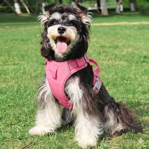Mile High Life No Pull Dog Harness with Reflective Stripe, Adjustable Easy Get on Lightweight Harness for Small Medium Large Dogs Walking Running Training (Hot Pink, XL Chest 26"-37") - color: Hot Pink, size: XL Chest 26"-37"