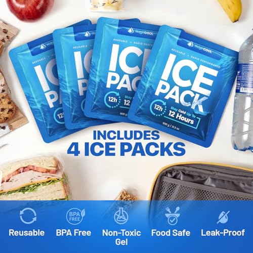 Ice Packs for Cooler, Reusable Ice Packs for Lunch Boxes, 4 Pack Long Lasting Freezer Packs, Leakproof Cooler Ice Packs for Lunch Bags and Coolers, BPA-Free, Food Safe - size: 4-Pack / 600g Each