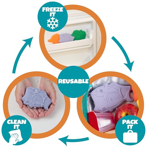 Kids Hard Ice Packs (3 PK) Slim Lightweight Reusable Cooler Freezer Packs- Long-Lasting Chillers Keep Food Fresh for Hours- Durable Leak-Proof Design for Boys Girls Back To School- BPA Free, Food Safe - color: Shark