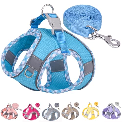 Petank Step in Dog Harness No Pull and Leash for Small Medium Dogs Cats. - color: Blue, size: XXXS