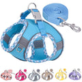 Petank Step in Dog Harness No Pull and Leash for Small Medium Dogs Cats. - color: Blue, size: XXXS