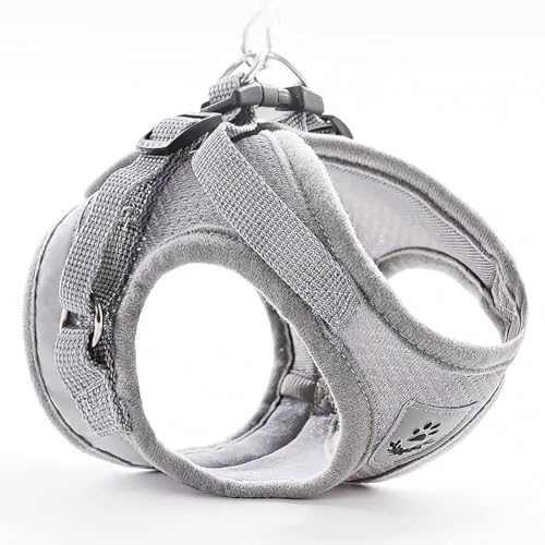 FEimaX Dog Harness and Leash Set for Walking, Soft Mesh Adjustable Easy Control Lightweight Cat Vest Harnesses with Reflective Strips, Escape Proof Small Dogs Cats Vests (Grey, X-Small) - color: Grey, size: X-Small