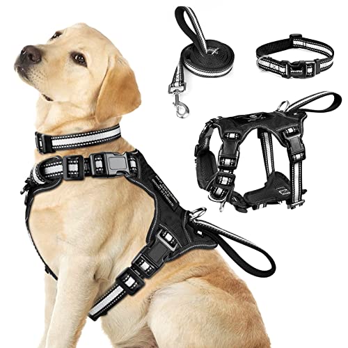 WINSEE Pet Harness Collar and Leash Set, All-in-one Reflective Dog Harness No Pull with Adjustable Buckles for Puppies, Small, Medium, Large, and Extra-Large Dogs (Large, Black) - color: Black, size: Large