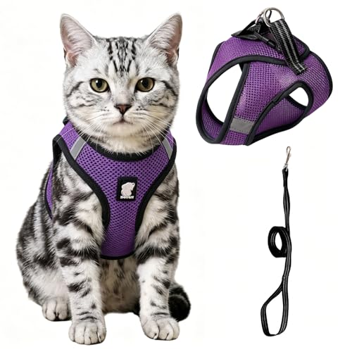 Heywean Cat Harness and Leash Escape Proof, Soft Breathable Mesh Kitty Walking Vest, Adjustable Step-in Kitten Harness Set with Reflective Strip for Small Cats - color: Purple, size: Large