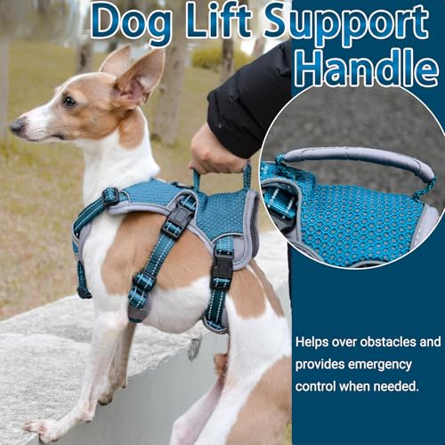 Escape Proof Dog Harness, No Escape No Pull Reflective Dog Harness with Durable Handle, Adjustable Heavy Duty Vest for Small Medium Large Dogs, Walking and Training (Blue,L) - color: Blue, size: L (Pack of 1)