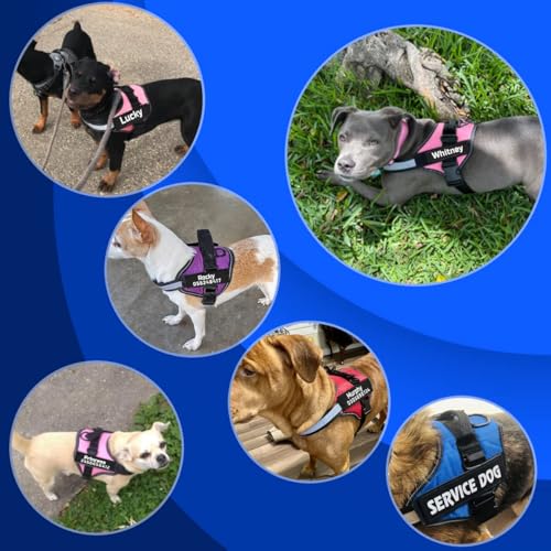 MUMUPET Custom Dog Harness Vest with 2 Personalized Name & Phone Patches - color: Black-Custom, size: Large