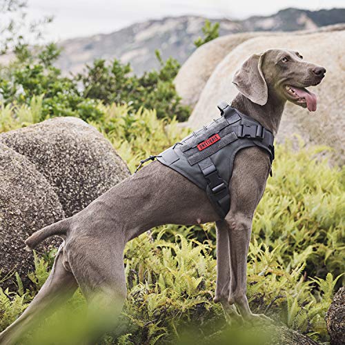 OneTigris Tactical Dog Harness Vest No-Pull Service Dog Vest for Small Dogs - color: Grey, size: Small