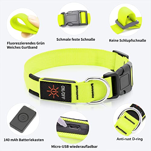 Light Up Dog Collar, Rechargeable USB Collar, Waterproof, Luminous LED Collar, Adjustable, Super Bright, Night Walking for Small Medium Large Dogs, Green, M - color: Green, size: Medium