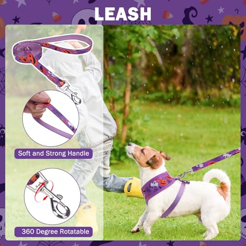 SCENEREAL Halloween Small Dog Harness and Leash Set - color: Purple-Halloween, size: XS: Chest Girth: 10"-14"