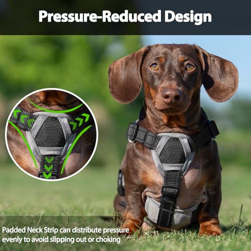 Huntboo Escape Proof Dog Harness, Dachshund Harness, Reflective Dog Harness with Handle, Durable,Adjustable Vest for Small Medium Large Dogs Walking, Training, and Running Gear (Black,M) - color: Black, size: Medium(Pack of 1)