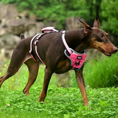 PUPTECK Escape Proof Dog Harness with Padded Handle, No Pull Pet Vest Harness Durable Reflective for Medium Large Dogs Walking Training and Running, Pink, M - color: Pink, size: Medium