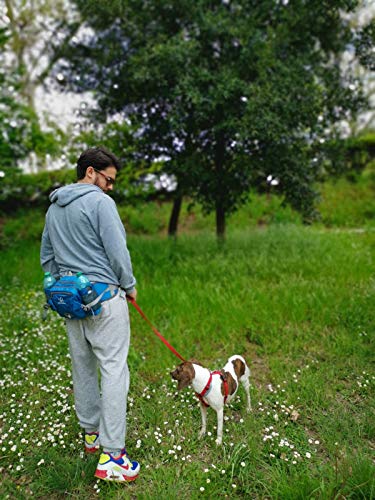 WATERFLY Fanny Pack Waist Bag: Fannie Pack 2 Water Bottle Holders Lumbar Belt Hiking Walking Running Jogging Camping Large Woman Man (Bottle Not Included) - color: Blue