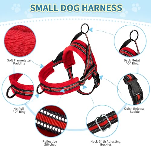 SlowTon No Pull Small Dog Harness and Leash Set with Front Clip - color: Red, size: X-Small