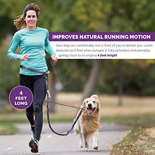 Tuff Mutt Waist Hands Free Dog Leash for Walking Running Hiking - color: gray/teal
