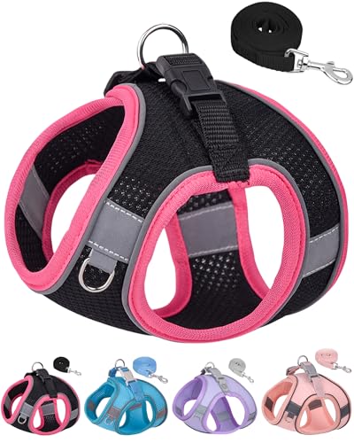 Small Dog Harness and Leash Set - Puppy Training Vest, Black, XXS - color: Black, size: Extra Extra Small