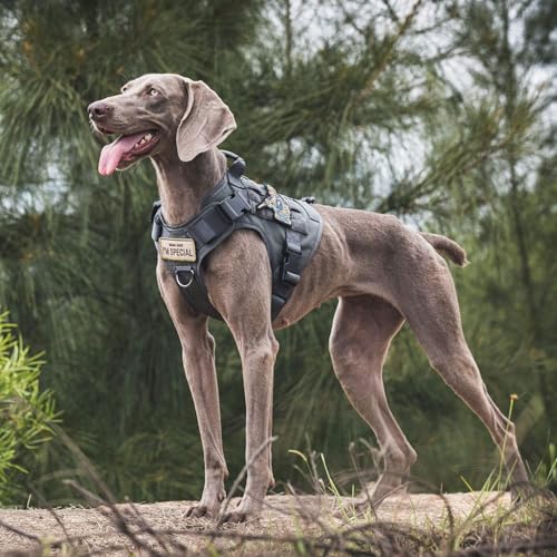 OneTigris Tactical Dog Harness Vest No-Pull Service Dog Vest for Small Dogs - color: Grey, size: X-Small