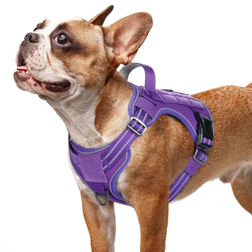 rabbitgoo Tactical Dog Harness for Small Dogs, No Pull Service Pet Vest - color: Purple, size: S(Chest:16.1"-31.5",Neck:15.4"-21.6",Back:7.1")
