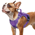 rabbitgoo Tactical Dog Harness for Small Dogs, No Pull Service Pet Vest - color: Purple, size: S(Chest:16.1"-31.5",Neck:15.4"-21.6",Back:7.1")