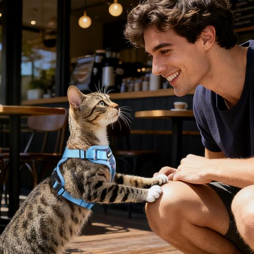 Dooradar Cat Harness and Leash Set, Adjustable and Escape Proof, S - color: Aqua Sea, size: S