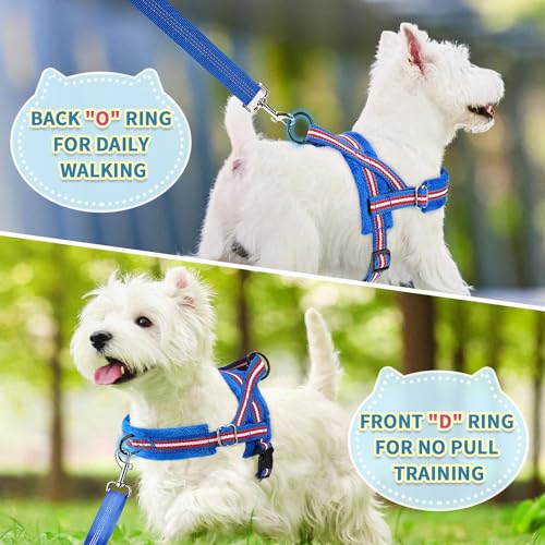 SlowTon No Pull Small Dog Harness and Leash Set with Front Clip - color: Dark Blue, size: X-Small