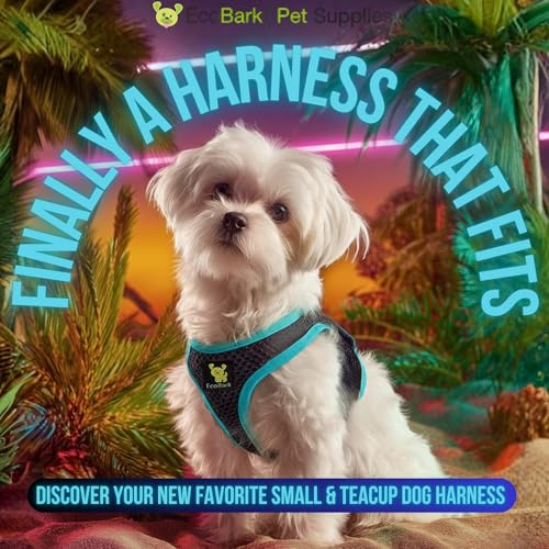 EcoBark Step in Dog Harness, Reflective No Choke Halter Vest, XXXS, Teal - color: Black and Teal Trim, size: XXXS- 2 to 3 lbs- Chest up to 10 in (Pack of 1)