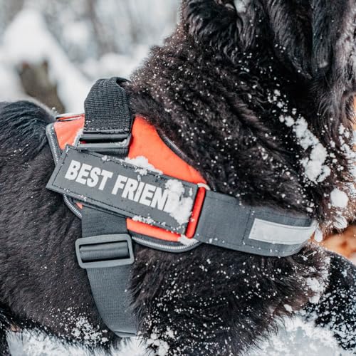 DOGGYKINGDOM Personalized Dog Harness with Custom Name Patches, Adjustable Reflective No Choke Dog Vest with Handle for XXL Dog, Blue, 2XL - color: Blue, size: 2XL (Chest: 37 - 42 in)