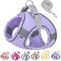 Petank Step in Dog Harness No Pull and Leash for Small Medium Dogs Cats. - color: Purple, size: XXXS