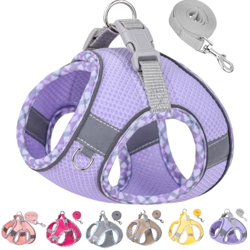 Petank Step in Dog Harness No Pull and Leash for Small Medium Dogs Cats. - color: Purple, size: XXXS