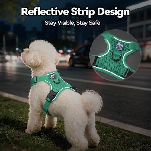 PoyPet Mesh Dog Harness, Reflective Breathable Puppy Vest for Small Dogs - color: Mint Green, size: XS