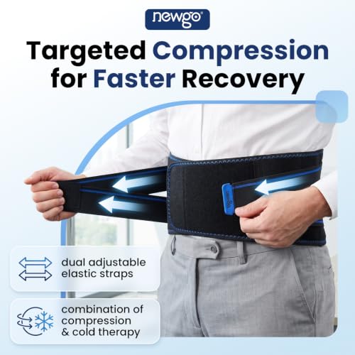 NEWGO Ice Pack for Lower Back Pain Relief, 2 Hours Long-Lasting - size: Ice Cube Pack
