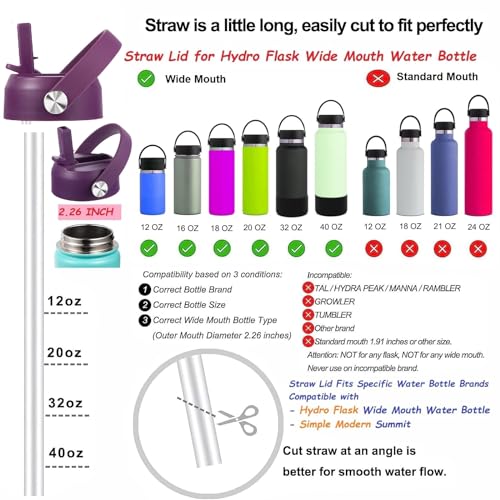 KMN Wide Mouth Straw Lid with Flip Top, Replacement Cap with Straw for Hydro Flask 18 32 40 oz Wide Mouth Water Bottle & 12 16 20 oz Coffee Flask, BPA-Free Leakproof Sports Lid (Eggplant Purple) - color: Eggplant Purple
