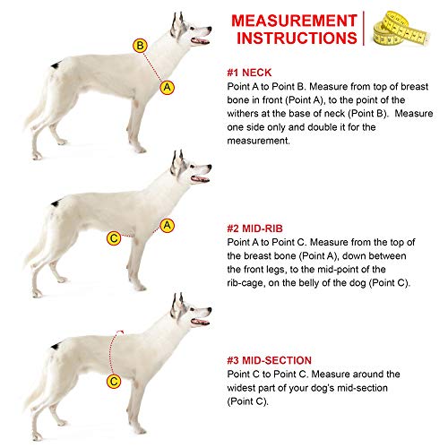 Adjustable Dog Harness, No-Pull D-Ring - Alpine Outfitters Urban Trail – Padded, Reflective, Multi-Use for Hiking, Running, and Everyday Wear - Small Pink - color: Pink, size: Small