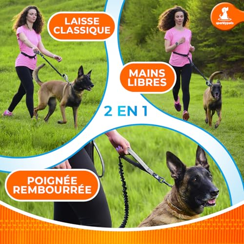 SparklyPets Hands Free Dog Leash, Medium & Large Breeds (Gray, 1 Dog) - color: Gray, size: 1 dog M/L
