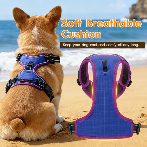 No Pull Dog Harness, No-Choke Soft Padded Reflective Dog Vest Harness with Front Clip & Top Handle, 2 Quick-Release Buckles, Adjustable for Small Medium Large Dogs - color: Blue/Purple, size: X-Small
