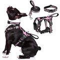 WINSEE Pet Harness Collar and Leash Set, All-in-one Reflective Dog Harness No Pull with Adjustable Buckles for Puppies, Small, Medium, Large, and Extra-Large Dogs (Medium, Pink) - color: Pink, size: Medium