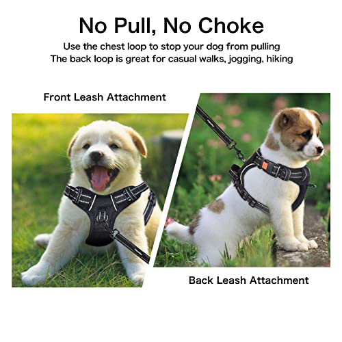 Petmolico No Pull Dog Harness and Leash Set, Army Yellow, Small - color: Army Yellow, size: Small