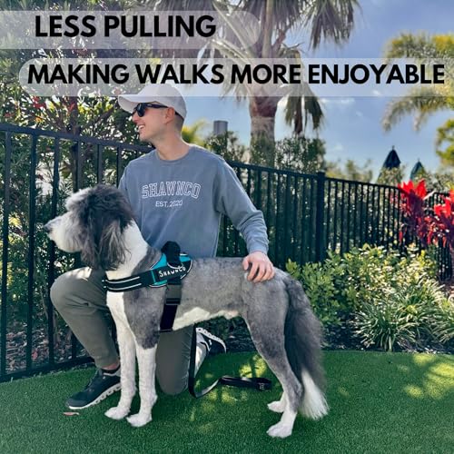 ShawnCo Essential Pro Dog Harness, No-Pull Pet Vest (Midnight, M) - color: Midnight, size: M