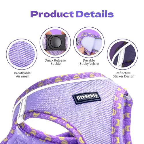 Rttochfy Cat Harness and Leash Set, Escape Proof Kitten Harness, Soft and Breathable Vest with Reflective Strip, Easy to Wear for Cats Walking and Traveling (Blue, XS) - color: Blue, size: XS (Chest:12.5"-14")