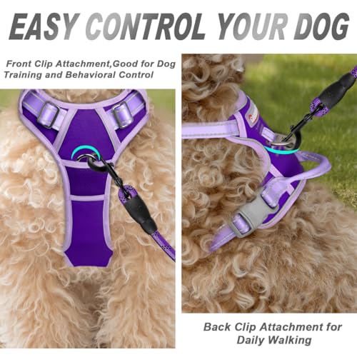 BARKBAY Dog Harness No Pull for Small Sized Dog Front Back Clips,Dog Vest - color: Violet Purple & Purple, size: X-Small(Chest:15.5-19.5”)