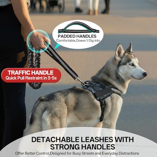 Hands Free Double Dog Leash for Two Dogs 240LB Heavy Duty Bungee