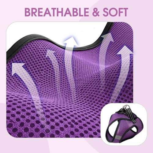 Heywean Cat Harness and Leash Escape Proof, Soft Breathable Mesh Kitty Walking Vest, Adjustable Step-in Kitten Harness Set with Reflective Strip for Small Cats - color: Purple, size: Small